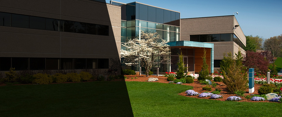 Fernley Landscapers