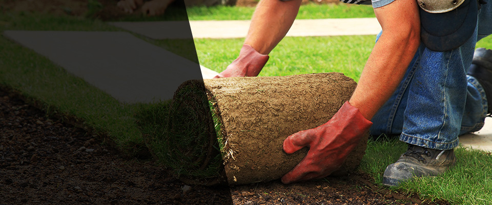 Fernley Landscapers